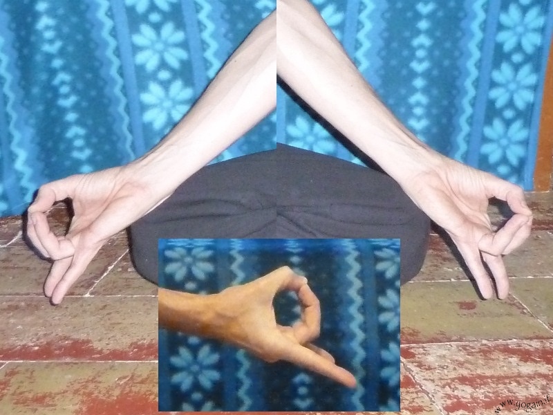 Apan Mudra